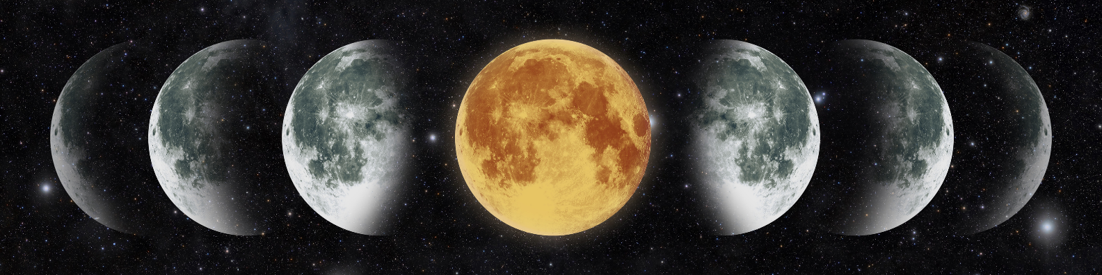 HOW TO DETOX WITH YOUR MOON CYCLE