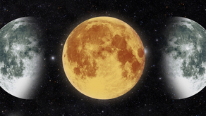 HOW TO DETOX WITH YOUR MOON CYCLE