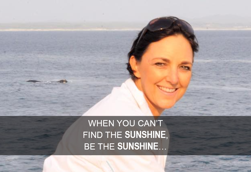 Live by Sally Steenkamp
