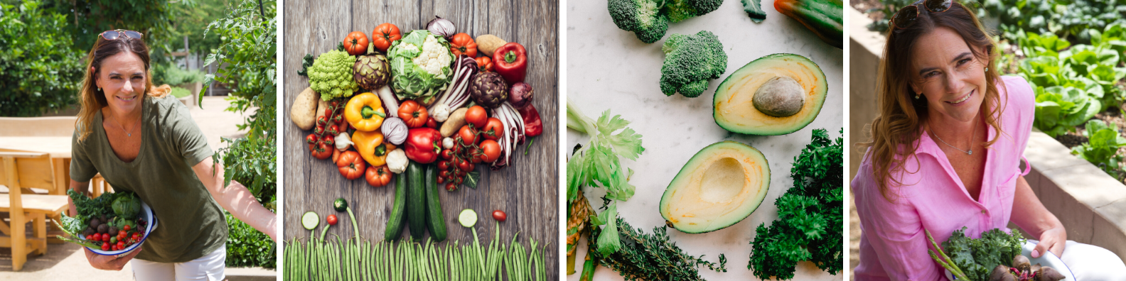 THE PLANETARY DIET VS CLIMATARIAN DIET?