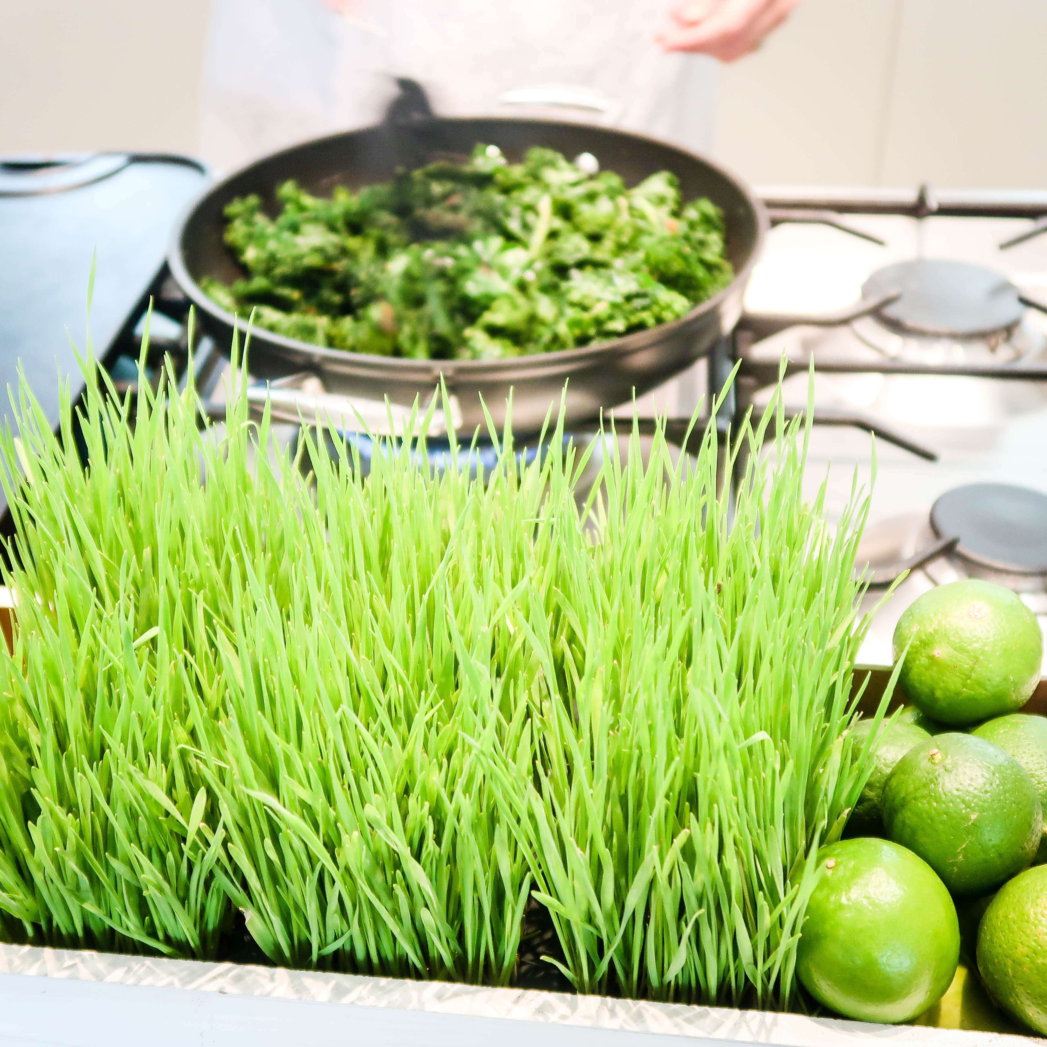 10 tips for going vegetarian!