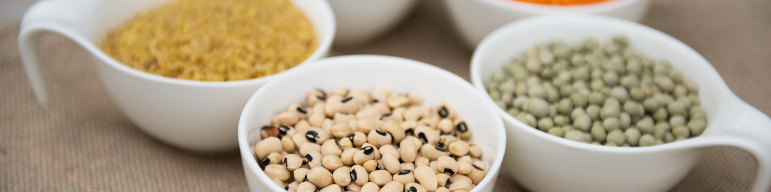 Lectins and Leaky Gut