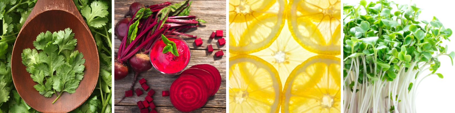 The Top 10 Foods for Detoxing Your Beautiful Body