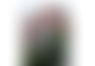 Holland House, Corby