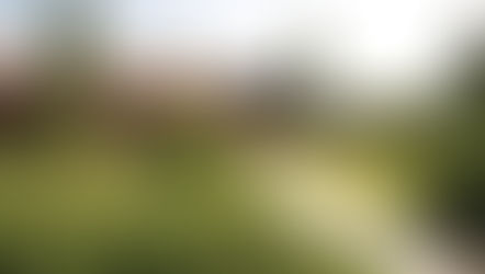 Meadow House Nursing Home, Swaffham