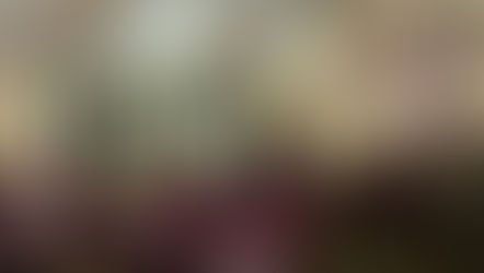 Dawson Lodge, Southampton