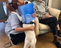 Belmont Grange Nursing and Residential Home, Durham