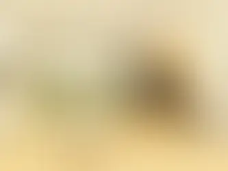 cach trang tri phong khach san dep: bi quyet bien moi khong gian thanh trai nghiem dang nho