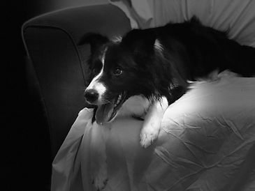 IMG_8838.jpeg