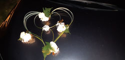 Coeur végétal et fleurs