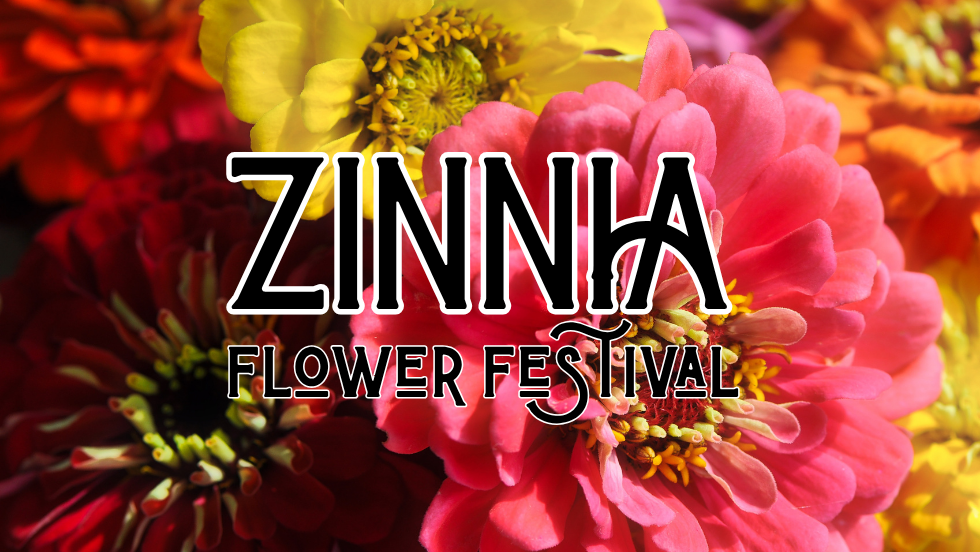 Zinnia Flower Festival