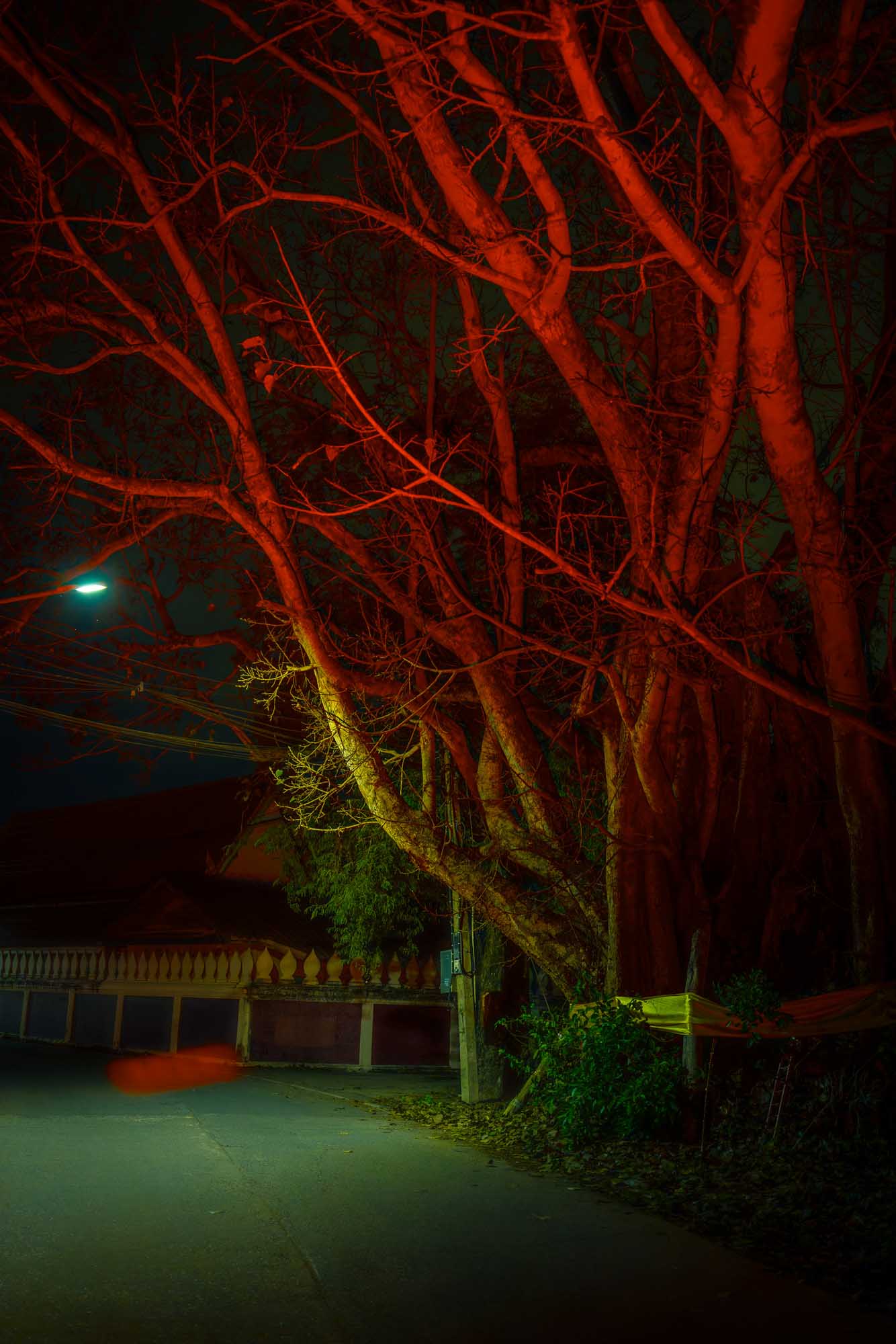 Night photography practice in Japan — image 2