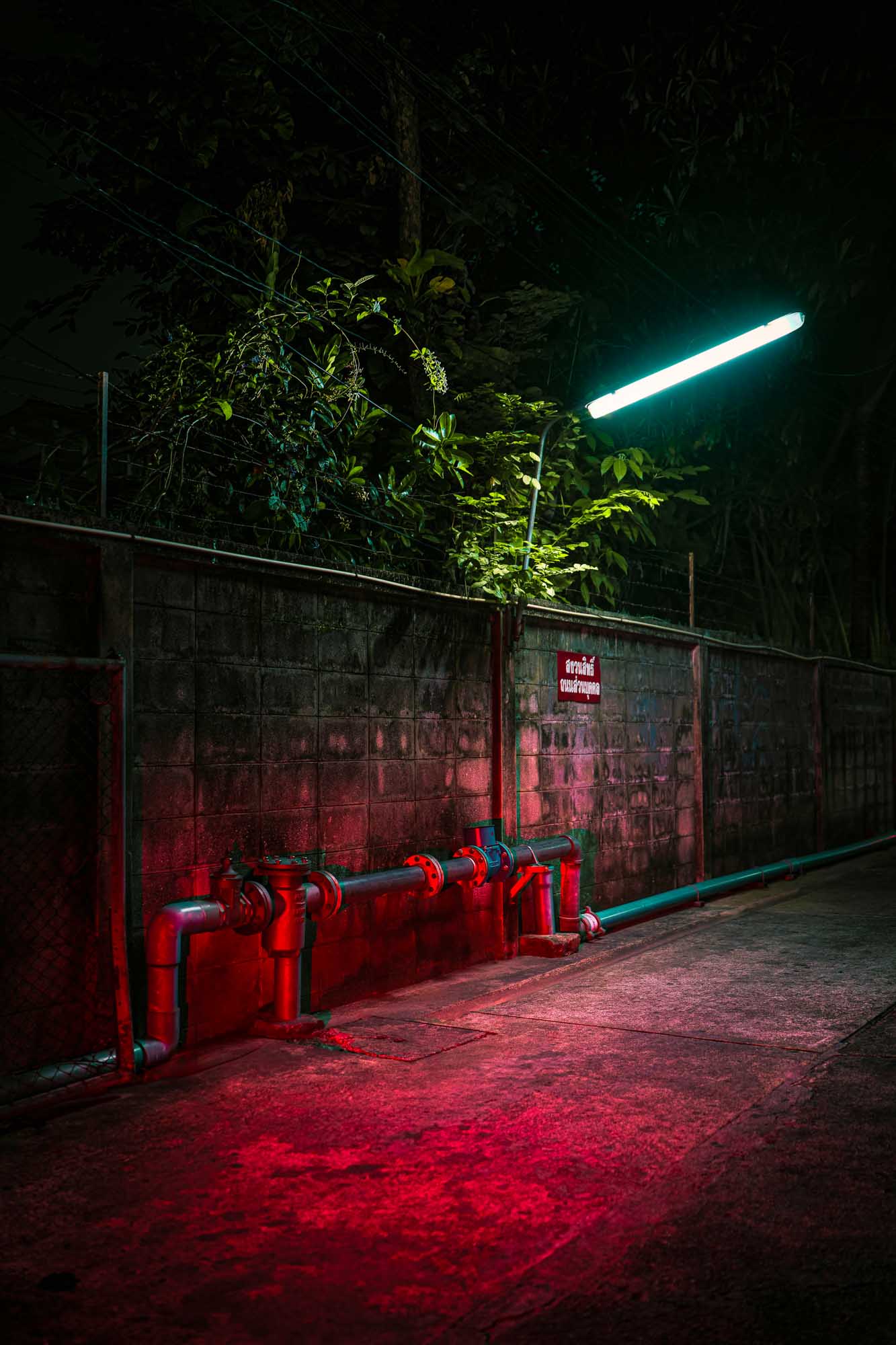Night photography practice in Japan — image 1