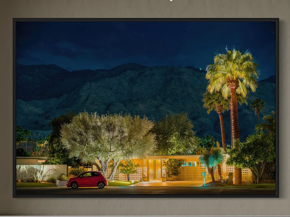 Thumbnail: Palm Springs Nocturne