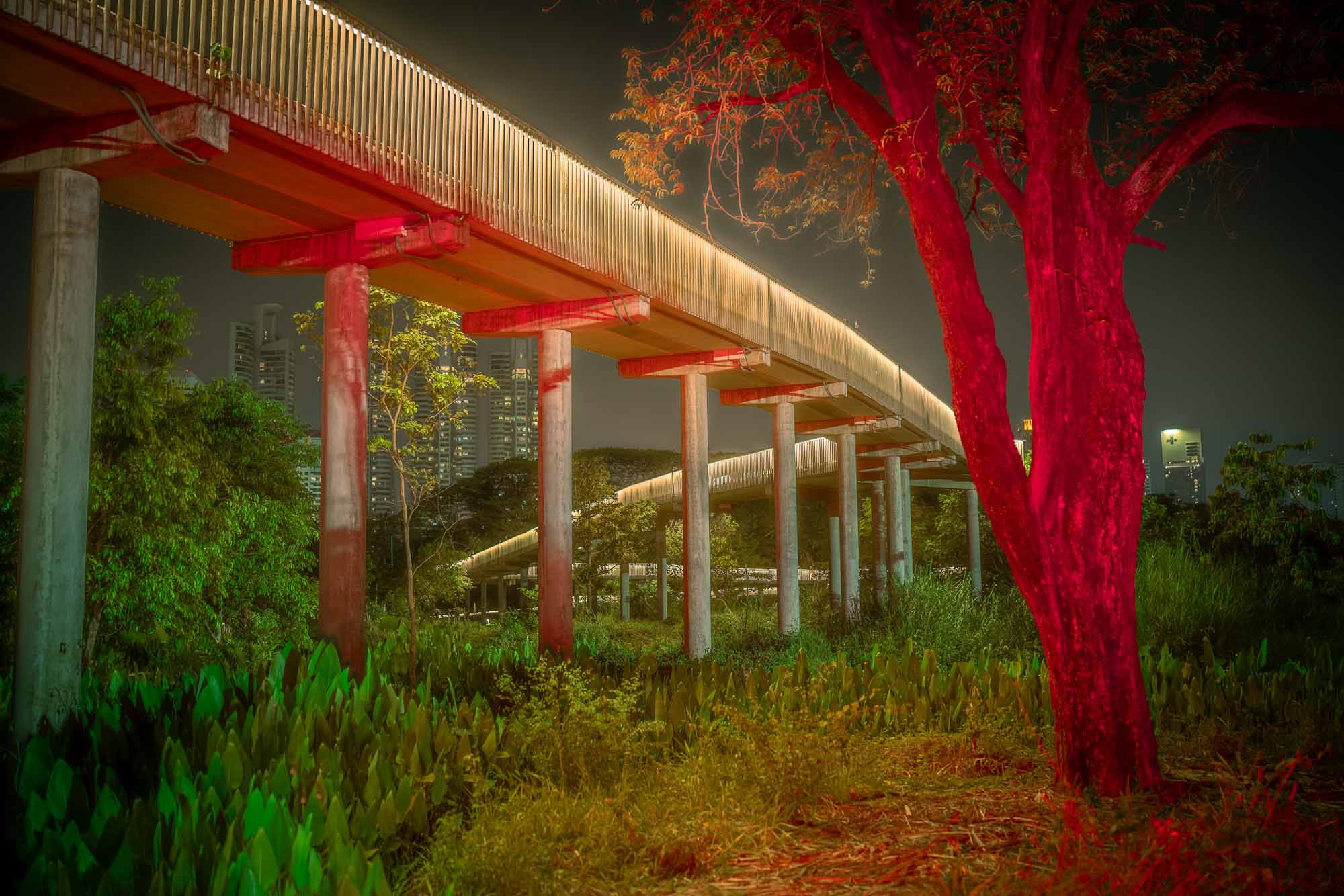 Night photography approach in Japan