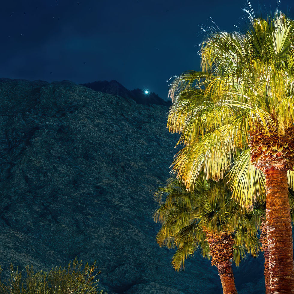 Thumbnail: Palm Springs Nocturne