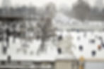 My Paris Photo Tour Nieve 3