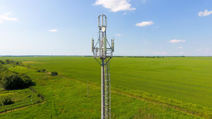 Conectividade avança no campo e abre caminho para um agro mais sustentável