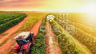 IoT otimiza certificação sustentável de cafeicultura familiar