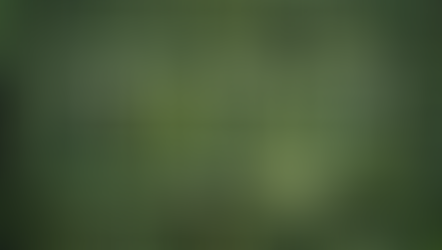 USP Expande Rede de Centros de Pesquisa com Iniciativa Direcionada ao Clima e a Sustentabilidade