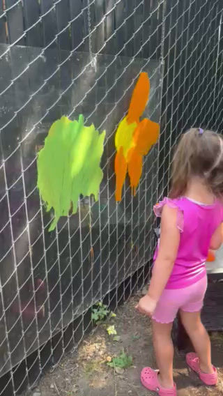 Video.mov