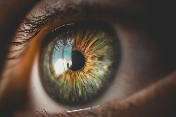 eyes-by Bruno Henrique from Pixabay .jpg
