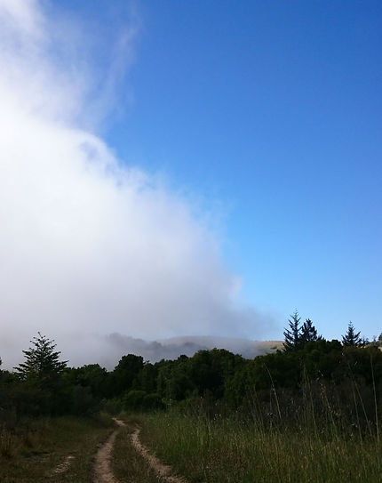 FogRollingInTrail.jpeg