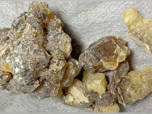 【フランキンセンス】エッセンシャルオイルの物語