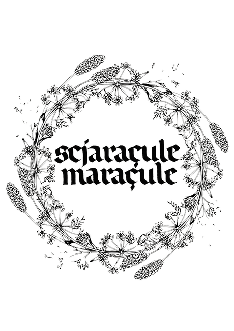 Untitled design (9).png