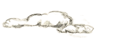 IMG0049 - Edited.png