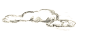 IMG0049 - Edited.png