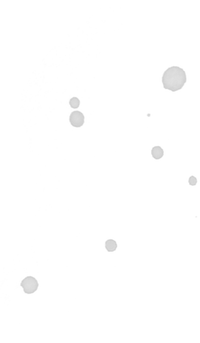 Winged Insect Silhouette_edited.png