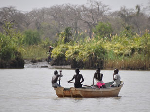 La Gambie n'est pas un long fleuve tranquille