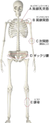 株式会社DEPOC 高気圧酸素カプセル