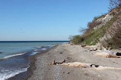 East Point in Spring