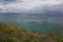 Guildwood on a spring day