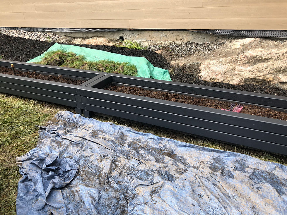 NO BARRIER GARDENING