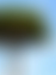 The Legacy Project, British Pakistan Foundation