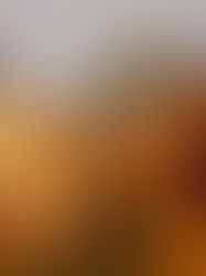 Ceramic Painting by Khadija Achatach – The Pearl of Ag(h)adir, Zaythoun Suleman