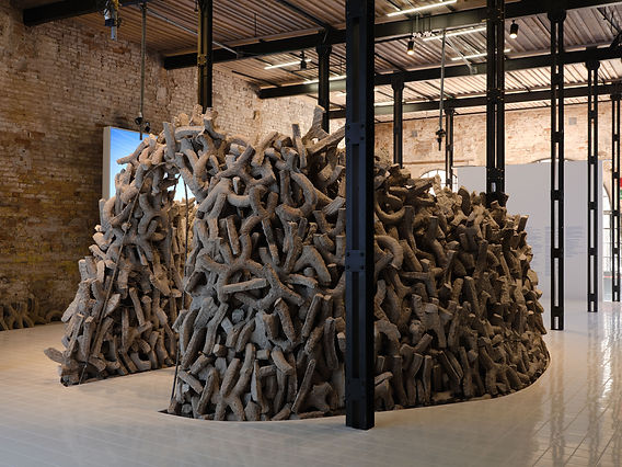 Wetland: Sustainable Architecture Exhibition wins Golden Lion Award