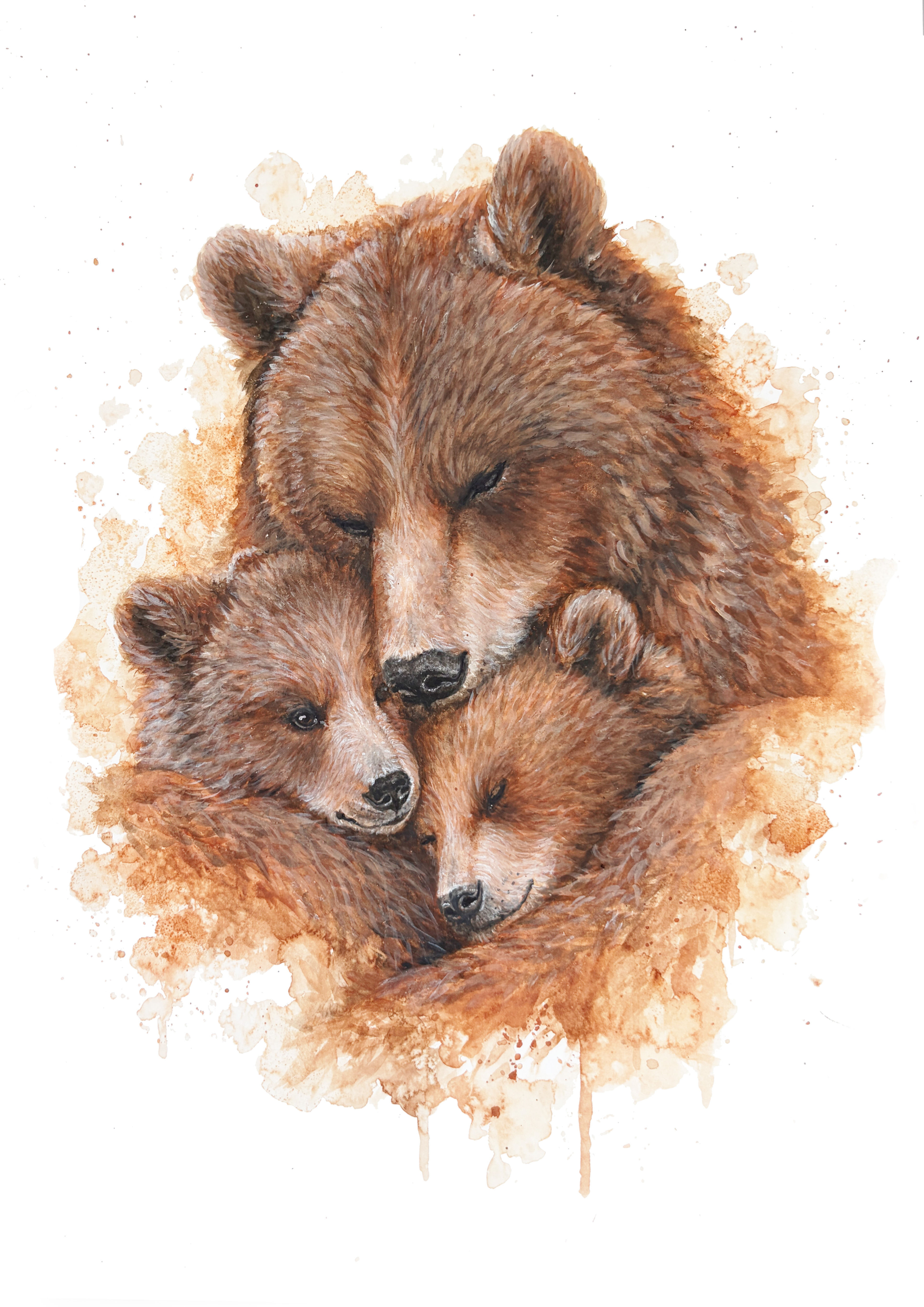 Bear Family - Original