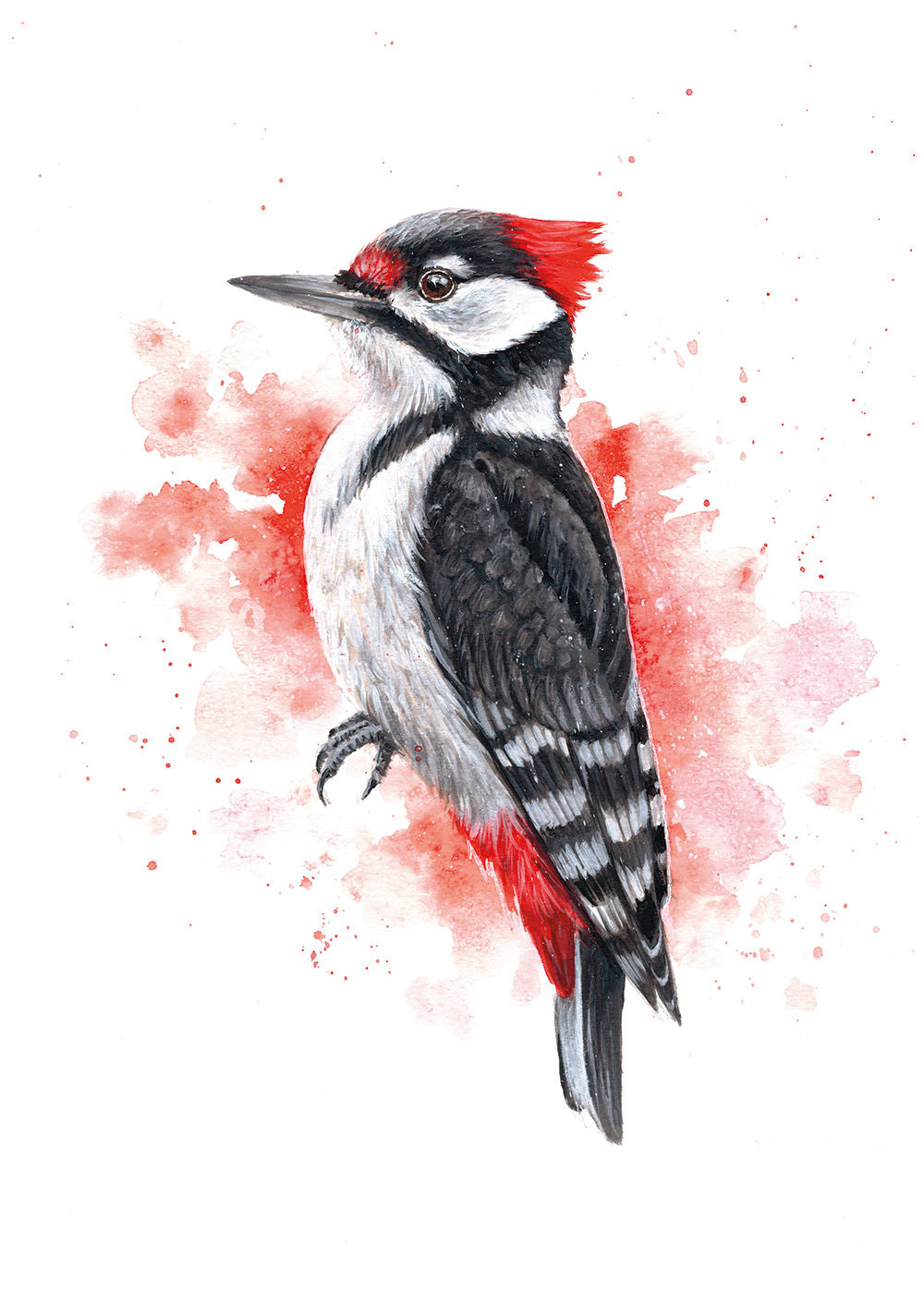 Woodpecker