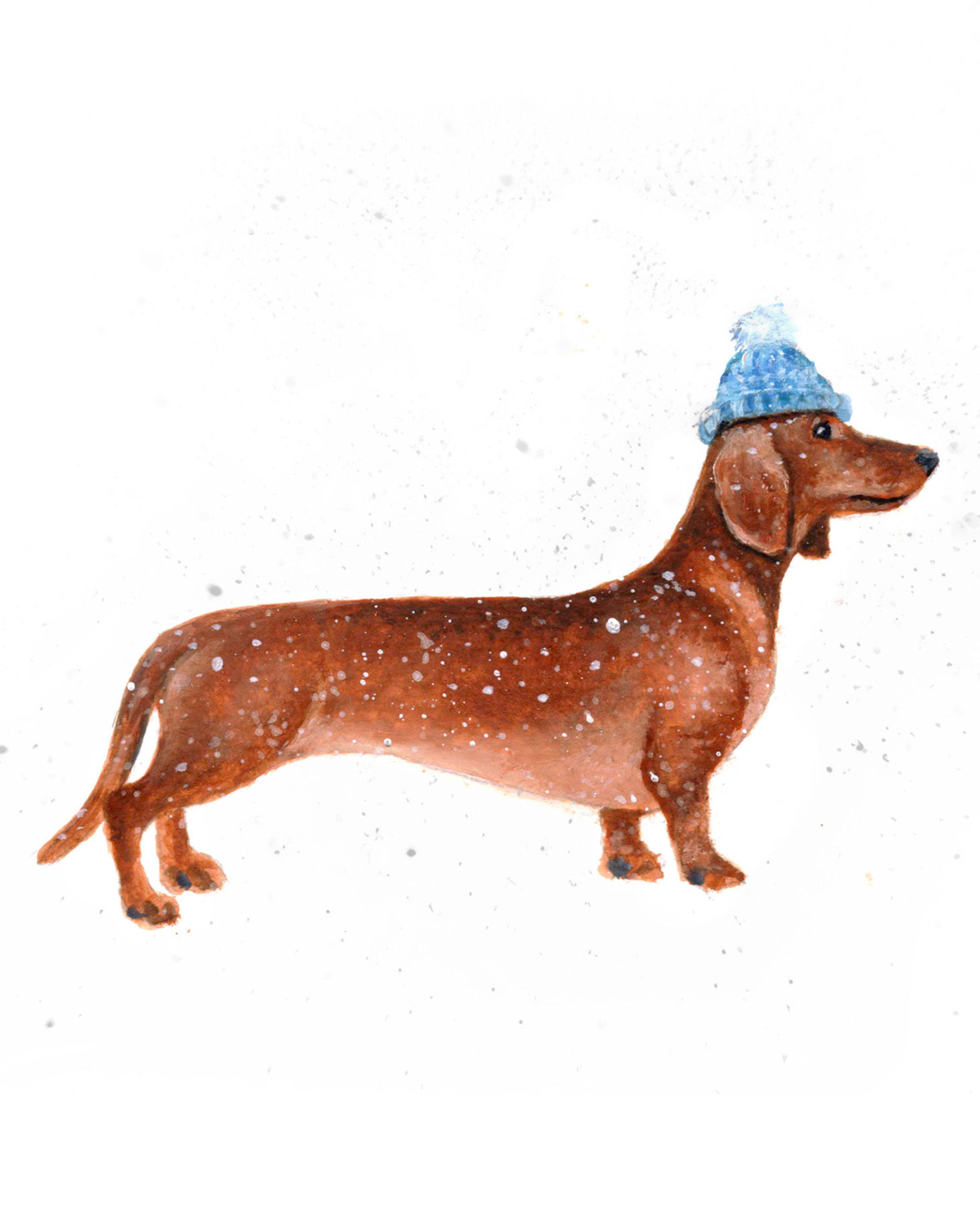 Dachshund - Mini Original