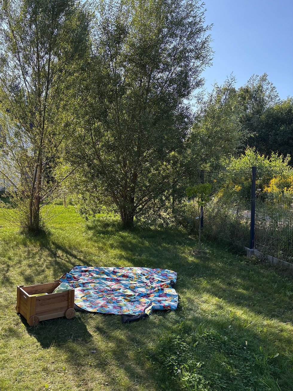 O łapaniu chwil, piknikach i chmurze w kształcie kota