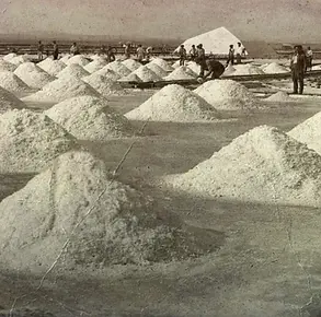 research doctor 2.webp