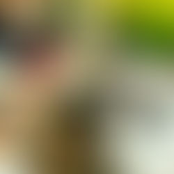 Sharp Notes Radio, 8/19/23