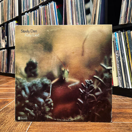 There Are Many Ways to Rhyme "Hackensack": Listening to an Original Pressing of Steely Dan's "Katy Lied"
