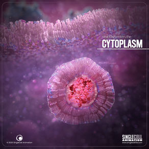 RNA being released from virus into host cell cytoplasm during viral infection