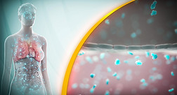 Biological explainer visualization showing human anatomy and molecules crossing the blood brain barrier.