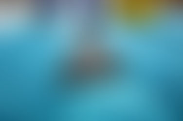 شركه تنظيف سجاد بابها